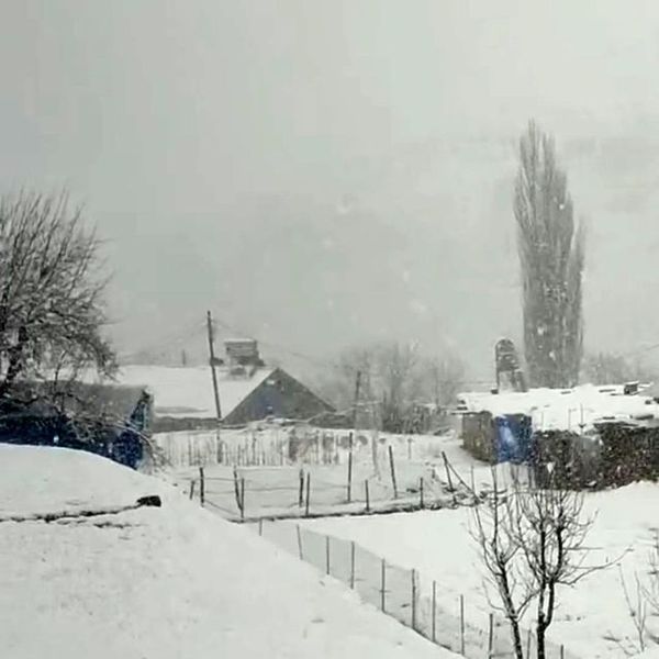 Siirt'te Nisan Ayında Aniden Başlayan Kar Yağışı Köyü Beyaza Bürüdü