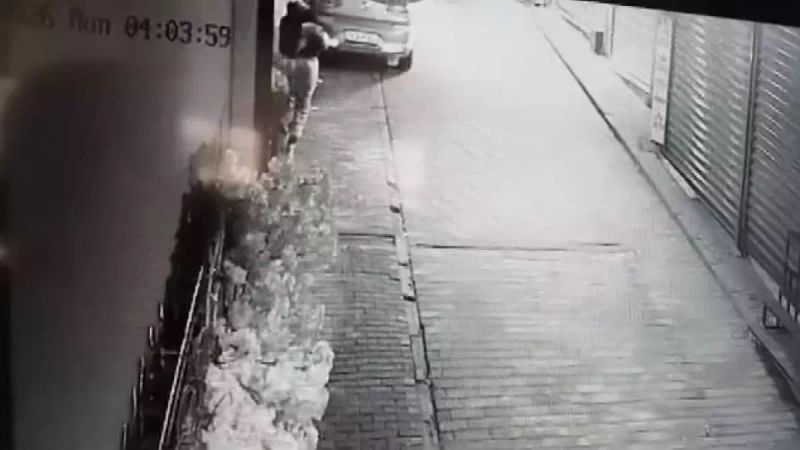 Bursa'da Hırsızlık Vakası: Değerli Süs Ağacı Çalındı