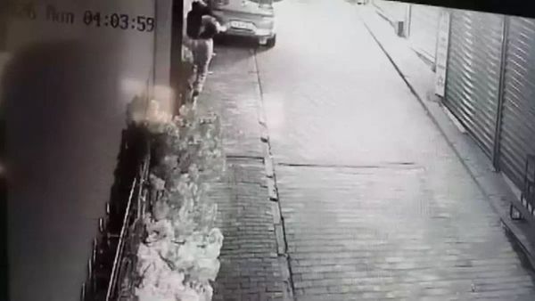 Bursa'da Hırsızlık Vakası: Değerli Süs Ağacı Çalındı