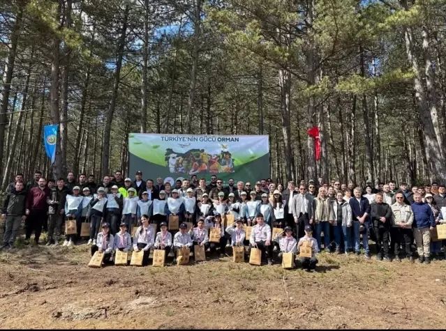 İhsangazi'de Dünya Ormancılık Günü Fidan Dikimiyle Kutlandı