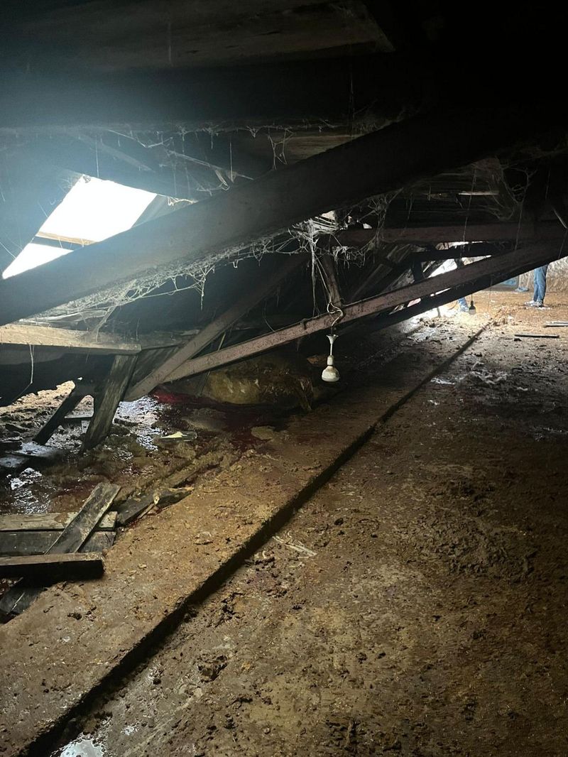 Kars'ta Kar Yükü Nedeniyle Çöken Ahırlarda 4 Büyükbaş Hayvan Öldü