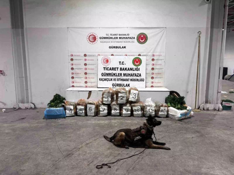 Gürbulak Sınır Kapısı'nda 51 Kilo 520 Gram Esrar Ele Geçirildi