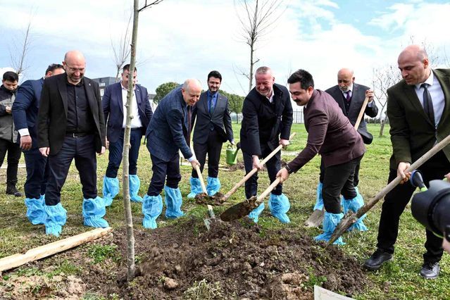 Karacabey'de Bursa'nın Fethi'nin 700. Yılına Özel 77 Çınar Fidanı Dikildi