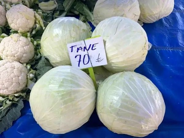 Beyaz Lahanada Üretici Fiyatları Düşerken Marketlerde Fiyatlar Yükseliyor