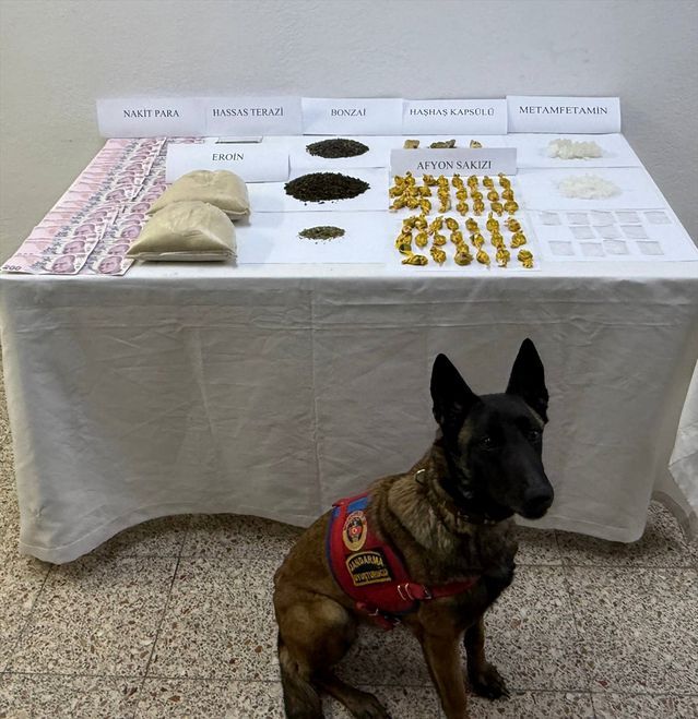 Tokat Yeşilyurt'ta Uyuşturucu Operasyonunda 1 Kişi Gözaltına Alındı