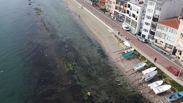 Tekirdağ'da Deniz Çekilince 'Kral Yolu' Kayalıkları Gün Yüzüne Çıktı