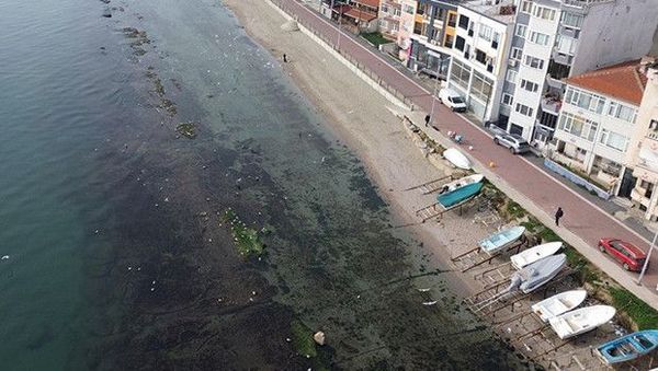 Tekirdağ'da Deniz Çekilince 'Kral Yolu' Kayalıkları Gün Yüzüne Çıktı