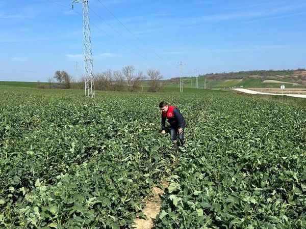 Kırklareli'de Kanser Taraması ve Diğer Güncel Gelişmeler