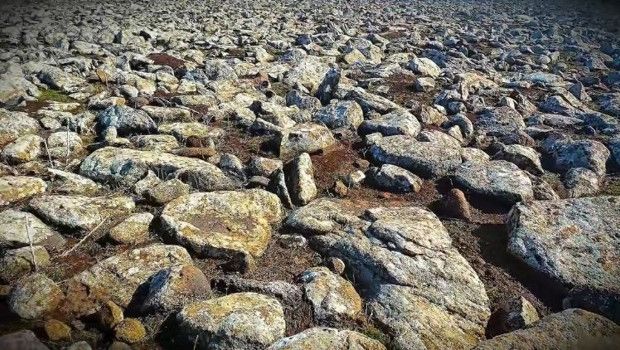 Şanlıurfa’da Volkanik Bazalt Altında Silah Cephaneliği Bulundu, 8 Kişi Gözaltında
