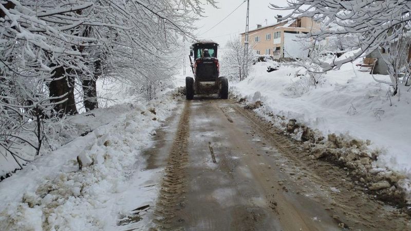 Malatya'da Kar Nedeniyle 109 Mahalleye Ulaşım Sağlanamıyor