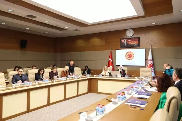 TBMM Kadın-Erkek Fırsat Eşitliği Komisyonu Kadına Yönelik Şiddet Raporunu Değerlendirdi