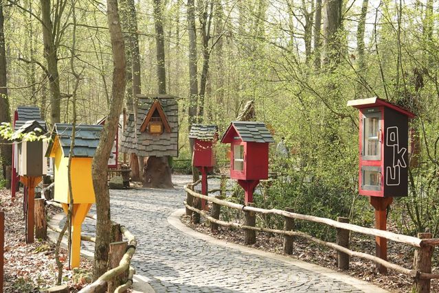 Ormanya'da Açık Havada Kitap Okuma Deneyimi ve Karamürselli Öğrencilerden Uluslararası Başarı