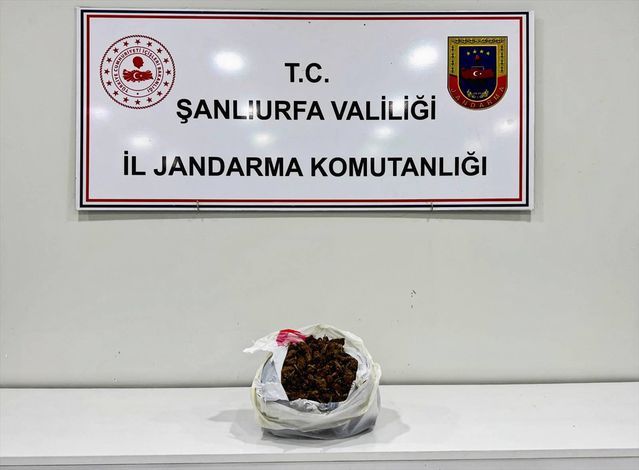 Viranşehir'de 1 Kilogram Sentetik Uyuşturucu Yakalandı