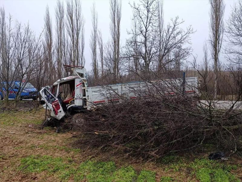 Uşak'ta Kamyonun Ağaçlara Çarpmasıyla 4 Kişi Yaralandı