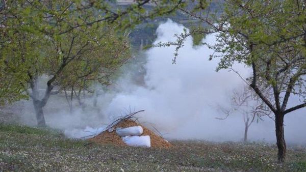 Manisa'daki Badem Bahçelerinde Soğuk Hava Koruması İçin Dumanlı Yöntem Kullanılıyor