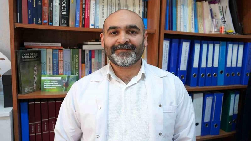 Kışın Sert Geçmesi Keneleri Tamamen Yok Etmiyor