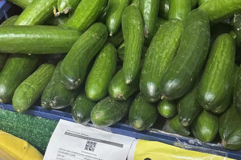 Zincir Markette Salatalık Fiyatındaki Büyük Fark Sosyal Medyada Tartışma Yarattı