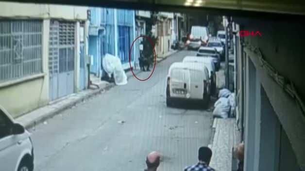 Bursa'da Pitbull Saldırısı: Sanıklara 7,5 Yıl Hapis Cezası Verildi