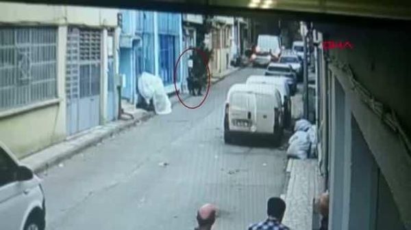 Bursa'da Pitbull Saldırısı: Sanıklara 7,5 Yıl Hapis Cezası Verildi