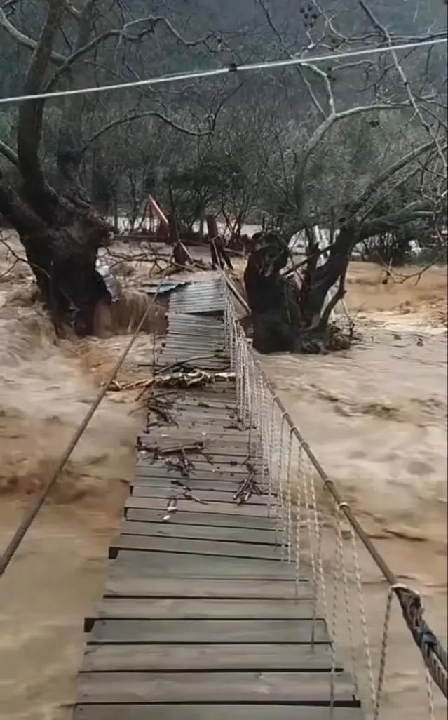 Yalova'da Şiddetli Yağışlar Sele Yol Açtı, 5 Büyükbaş Hayvan Öldü