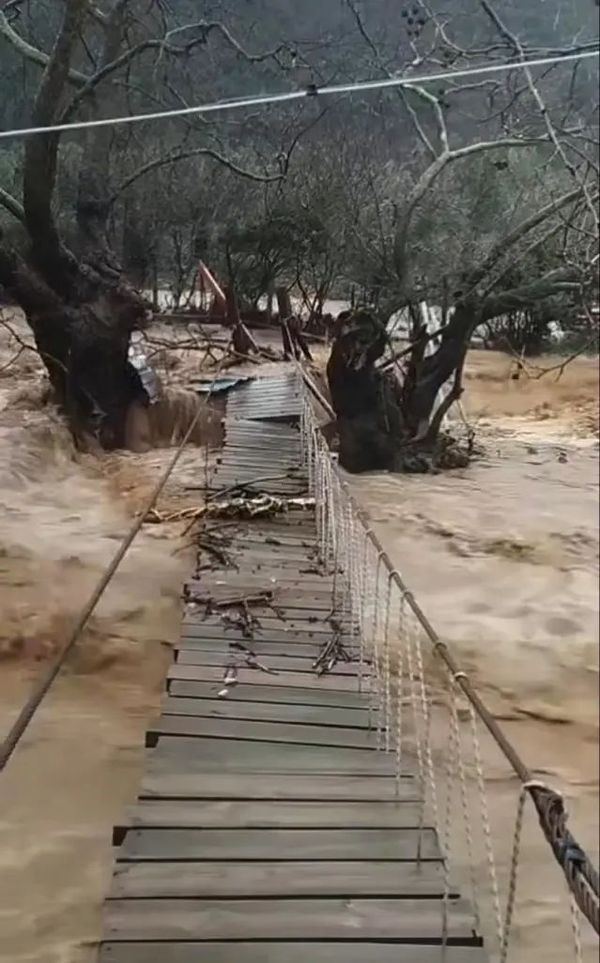 Yalova'da Şiddetli Yağışlar Sele Yol Açtı, 5 Büyükbaş Hayvan Öldü