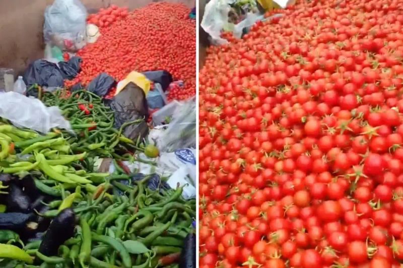 Sapasağlam Sebzelerin Gereksiz Yere Atılması Tepki Çekti