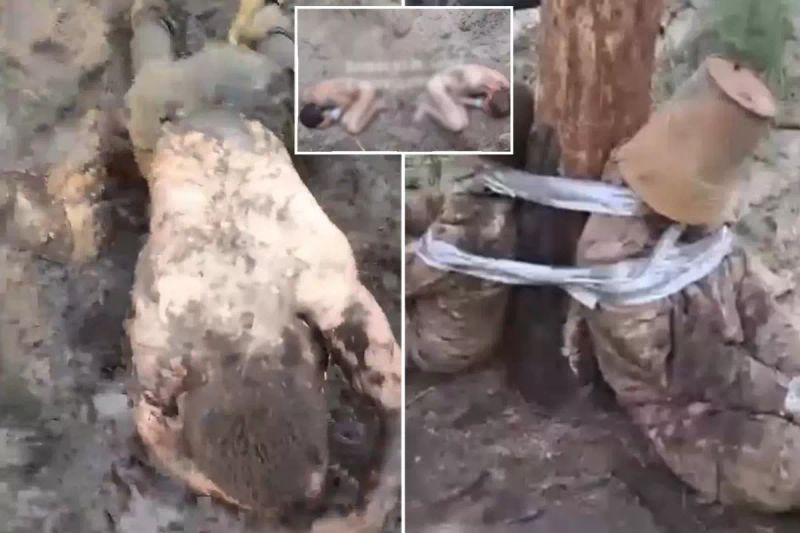 Rus Ordusunda Komutanların Askerlere Uyguladığı İnsanlık Dışı Muameleler Ortaya Çıktı