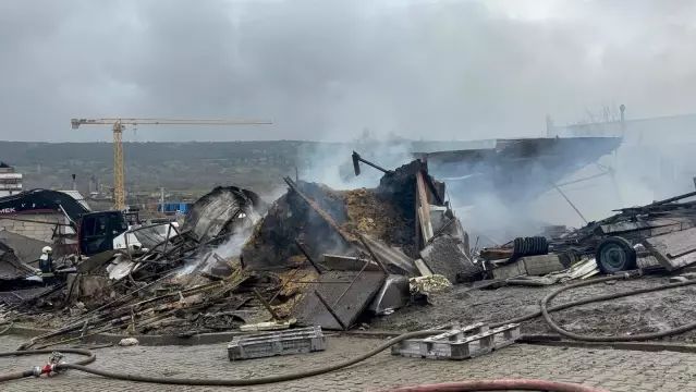 Dilovası'nda Ahır Yangını: 460 Hayvan Yaşamını Yitirdi