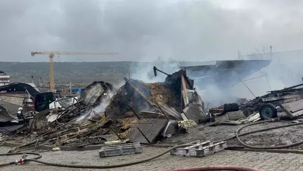 Dilovası'nda Ahır Yangını: 460 Hayvan Yaşamını Yitirdi