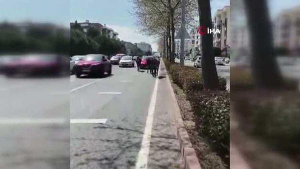Tekirdağ Trafiğinde Başıboş Atların Yol Açtığı Panik Sürücülere Zorluk Yarattı