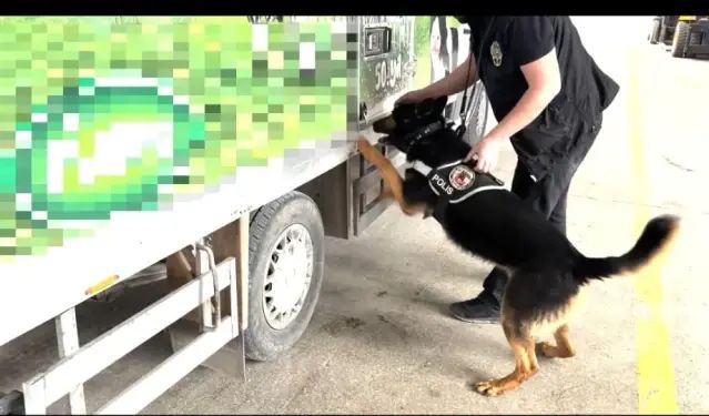 Van'da Narkotik Operasyonunda 90 Kilo Uyuşturucu Ele Geçirildi