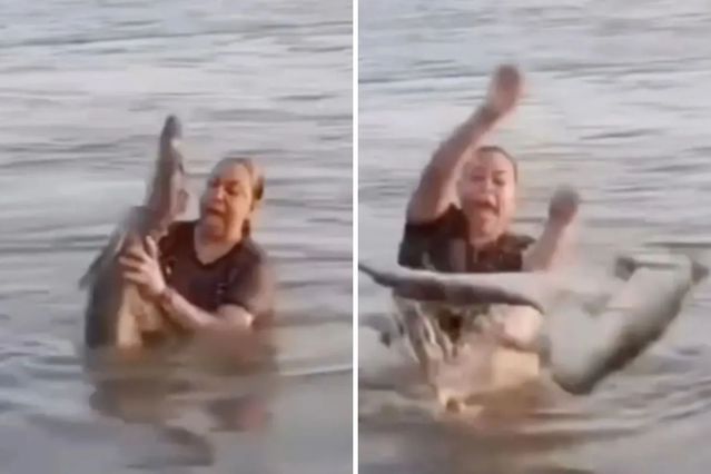 Meksika'da Suya Giren Kadın, Kütük Sandığı Timsahla Karşılaştı