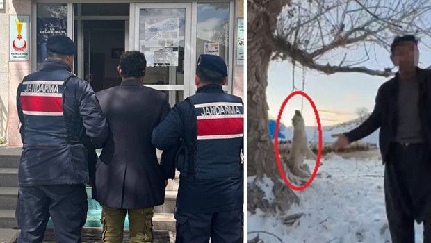 Pınarbaşı’nda köpeğini öldüren kişi tutuklandı