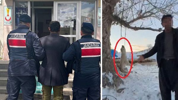 Pınarbaşı’nda köpeğini öldüren kişi tutuklandı