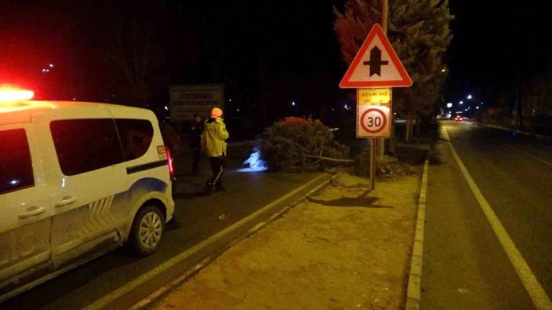 Malatya'da Şiddetli Fırtına Ağaçları Kökünden Söktü, Çatıları Uçurdu