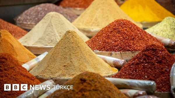 Vücut Kokunuzu Etkileyen Yiyecekler ve Ter Kokusu Üzerine Bilimsel Veriler