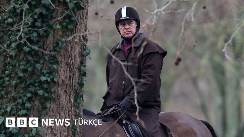 Andrew Mountbatten-Windsor, Gözaltına Alındıktan Sonra Serbest Bırakıldı