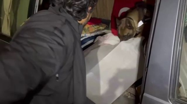 İstanbul-Ankara Arasında Uyuşturucu Taşıyan Minibüste 12 Kilo Skunk Yakalandı