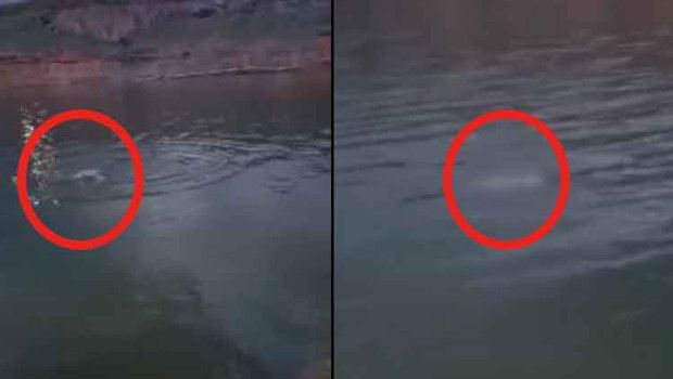 Yeşilyurt'ta Gölette Bulunan Cesedin Boğulma Anı Ortaya Çıktı