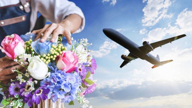 Sevgililer Günü'nde Çiçek Almanın Dünya Üzerindeki Etkilerini Düşünün