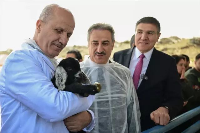 YÖK Başkanı Prof. Dr. Erol Özvar, MAKÜ'deki Akıllı Hayvancılık Projelerini İnceledi