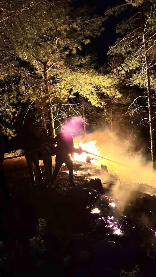 Hatay Dörtyol'daki Orman Yangını Kontrol Altına Alındı