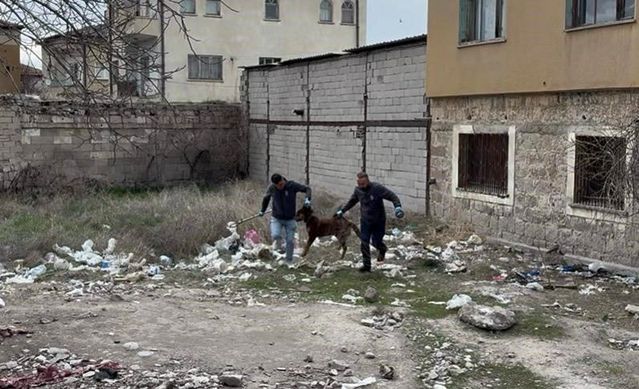 Kayseri'de Köpek Saldırısına Uğrayan 3 Yaşındaki Çocuğun Tedavisi Ankara'da Sürüyor