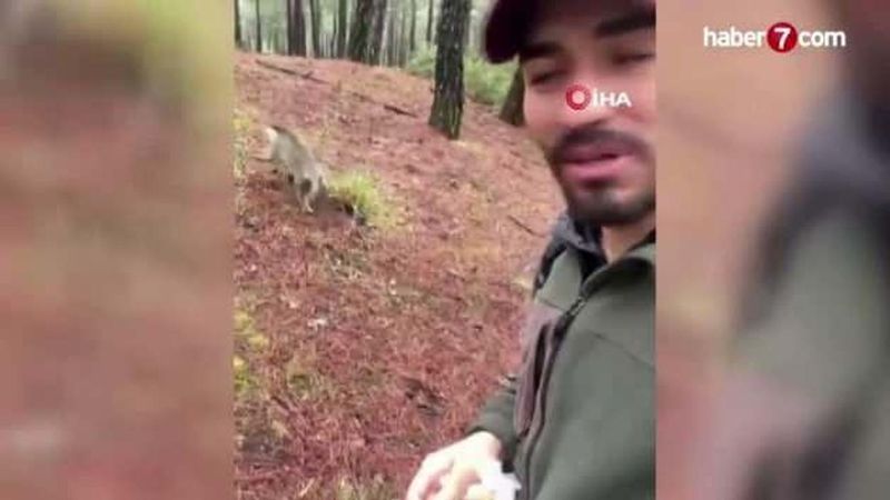 Denizli’de Mantar Toplarken Ormanda Maymunla Karşılaşan Vatandaş, Hayvanı Simitle Oyaladı