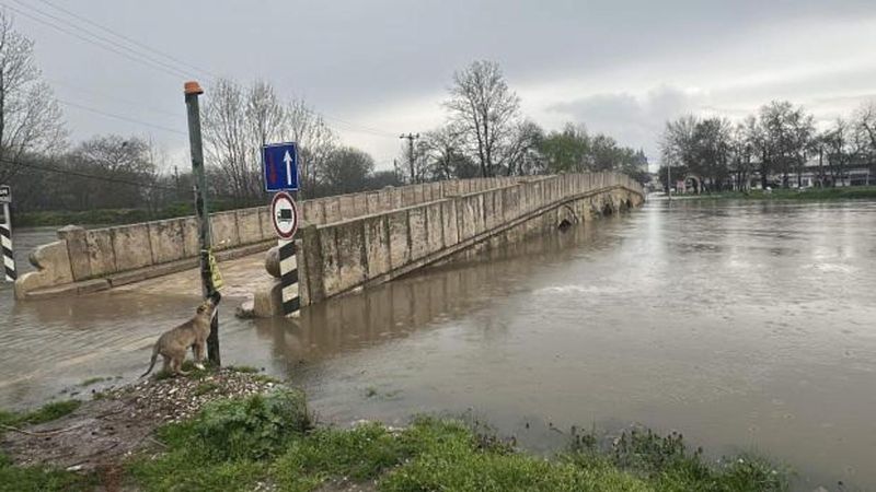 Edirne'de Meriç ve Tunca Nehirleri İçin 'Sarı Alarm' Uyarısı Yapıldı