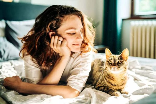 Evcil Kedilerde Kanserin Genetik Haritası İnsan Kanserine Işık Tutuyor