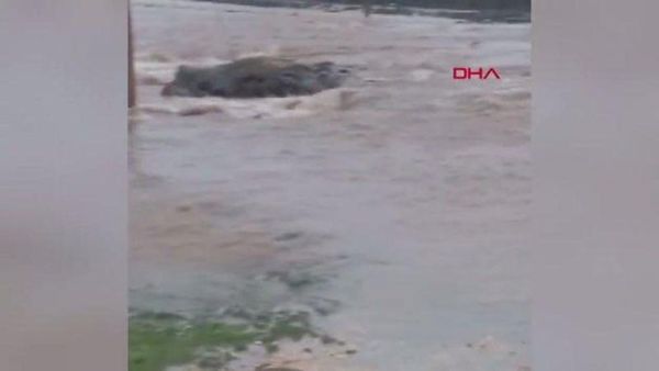 Diyarbakır Çınar'da Sağanak Sonrası Dere Taştı, Yol Sular Altında Kaldı