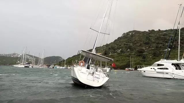 Bodrum'da Fırtına Nedeniyle Tekne Hasarları ve Ağaç Devrilmeleri Yaşandı