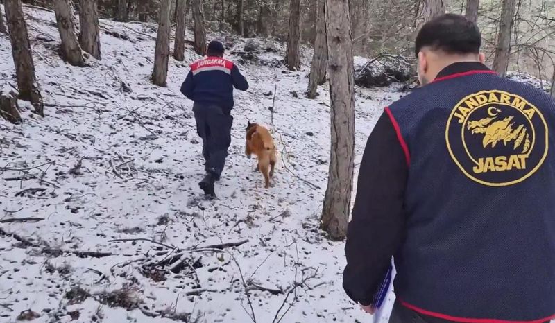 Bolu'da 10 Yıllık Cinayet Dosyası Çözüldü: Ormandaki Kemikler 2 Kadına Ait