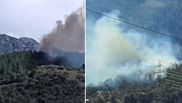 Osmaniye'de Elektrik Direğinin Devrilmesi Orman Yangınına Yol Açtı